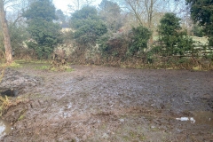 WhatsApp-Image-2021-01-15-at-4.57.44-PM