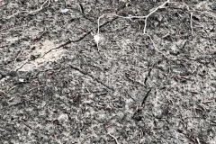 WhatsApp-Image-2021-02-20-at-9.10.52-AM-1