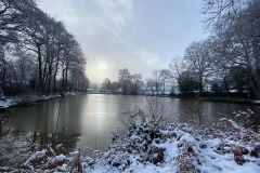 WhatsApp-Image-2020-12-31-at-2.53.46-PM