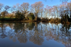 WhatsApp-Image-2021-01-12-at-3.07.15-PM-1