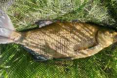 021b08bf-fae6-44da-ad3f-5d569c56469d