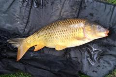 4ac22899-99ca-4d69-8345-6ebf7a089123