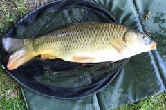 5e9ff77c-6e06-43ae-94a7-a31bfd0fe355