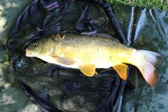 5ede54b7-6237-4479-9785-1f418f79952b