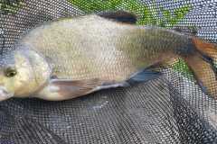 86160673-360f-41b8-b0a9-8d7681f5fe06