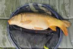 8620150f-ed27-4c28-9264-30aca2f7805b