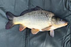 9cca55b0-c902-451e-97ce-72ae9d572134