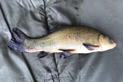 IMG_2809-scaled