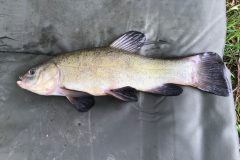 IMG_2832-scaled
