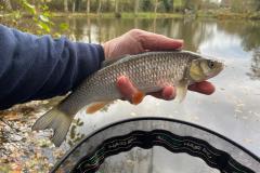 WhatsApp-Image-2020-11-14-at-6.53.51-PM