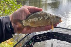 WhatsApp-Image-2020-11-14-at-6.54.43-PM