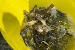 WhatsApp-Image-2021-03-06-at-5.34.32-PM