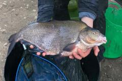 WhatsApp-Image-2021-03-23-at-6.55.29-PM