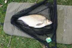 WhatsApp-Image-2021-04-13-at-7.14.34-PM