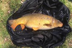 WhatsApp-Image-2021-04-19-at-5.01.38-PM