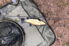 WhatsApp-Image-2021-05-13-at-5.30.46-PM