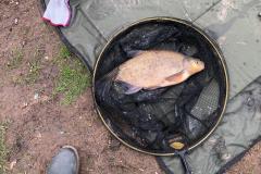 WhatsApp-Image-2021-05-13-at-5.30.47-PM