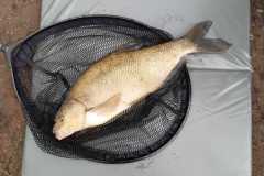 WhatsApp-Image-2021-05-14-at-5.32.26-PM