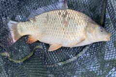 WhatsApp-Image-2021-06-09-at-9.53.53-PM-1