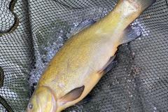 WhatsApp-Image-2021-06-09-at-9.53.54-PM