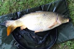 da5601ed-2280-4044-a7d9-51f7e892e2bd-1