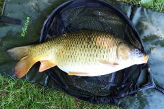 e088096d-4dda-4f0c-b392-e5ae6f7ca35f