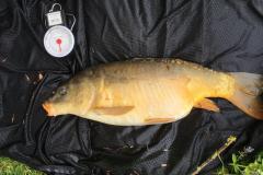 eaf7dee9-c8c2-433d-a7cf-f09a83773209